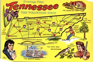 M-81013 Greetings From Tennessee The Volunteer State Tennessee