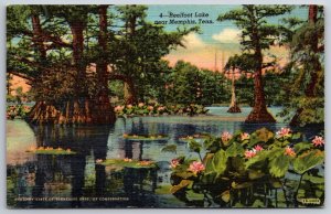 Memphis Tennessee~Reelfoot Lake Lily Pads & Mangrove~Vintage Linen Postcard