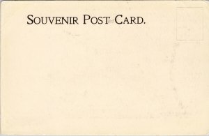 Stephen Avenue Calgary Alberta AB c1903 Unused Litho Postcard F86