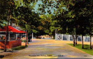 Texas Dallas View In Marsalis Zoo