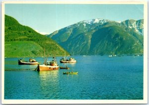 Postcard - View from the Sognefjord - Norway