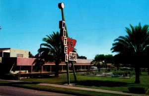 Arizona Mesa Winter Garden Motel