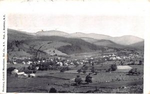 Catskill Mountains in Roxbury, New York