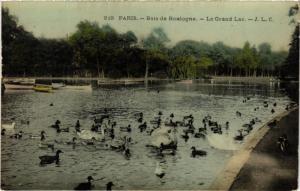 CPA PARIS 16e-Bois de Boulogne-Le Grand Lac (325091)