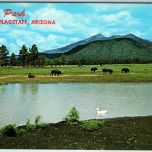 c1960s Flagstaff, AZ Buffalo Park Wild Life Refuge Bison Geese Duck Pond PC A241