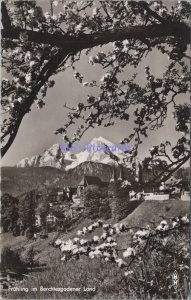 Germany Postcard - Fruhling im Berchtesgadener Land, Bavaria   DC2335