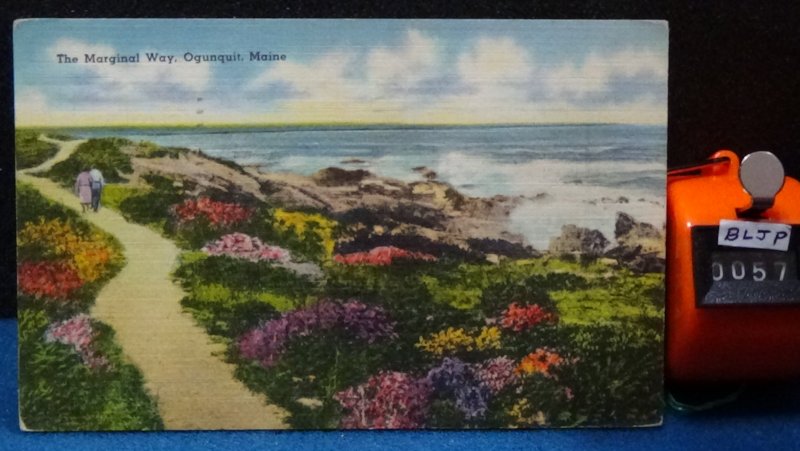 STD Vintage The Marginal Way Ogunquit Maine Posted 1952 Linen