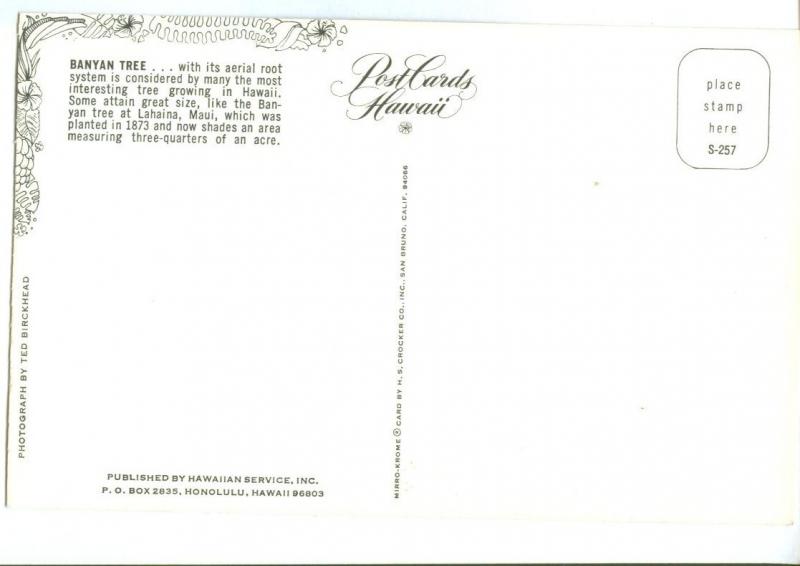 Banyan Tree, Hawaii, unused Postcard 