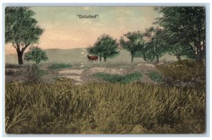 1910 Disturbed Deer Animal Forest Grass Franklin New Hampshire Vintage Postcard 