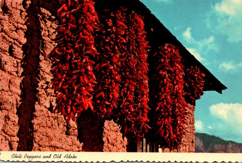 New Mexico Drying Chili Peppers and Old Adobe