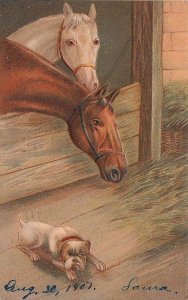 Postcard Horses in Barn + Dog