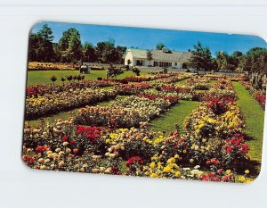 Postcard Central grass mall, Jackson & Perkins Rose Garden, Newark, New York