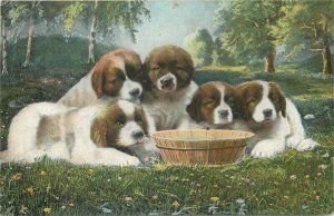 The popular series no. 212 postcards animals pully dogs 