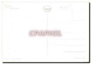 Postcard Modern Yilanti Sutun Column with CEZebra