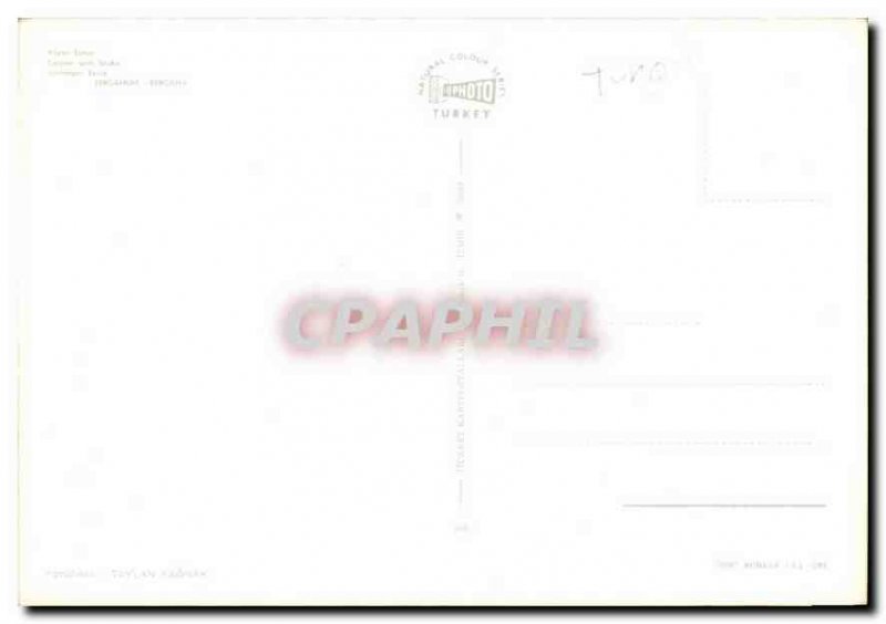 Postcard Modern Yilanti Sutun Column with CEZebra