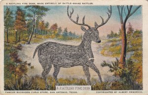 SAN ANTONIO, Texas, 00-10s; A Rattling Fine Deer