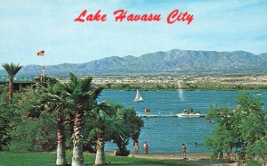 Lake Havasu City,AZ BIN