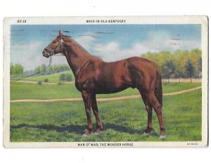 Bred in Old Kentucky Man O War The Wonder Horse Mailed 1944 One Cent Freedom