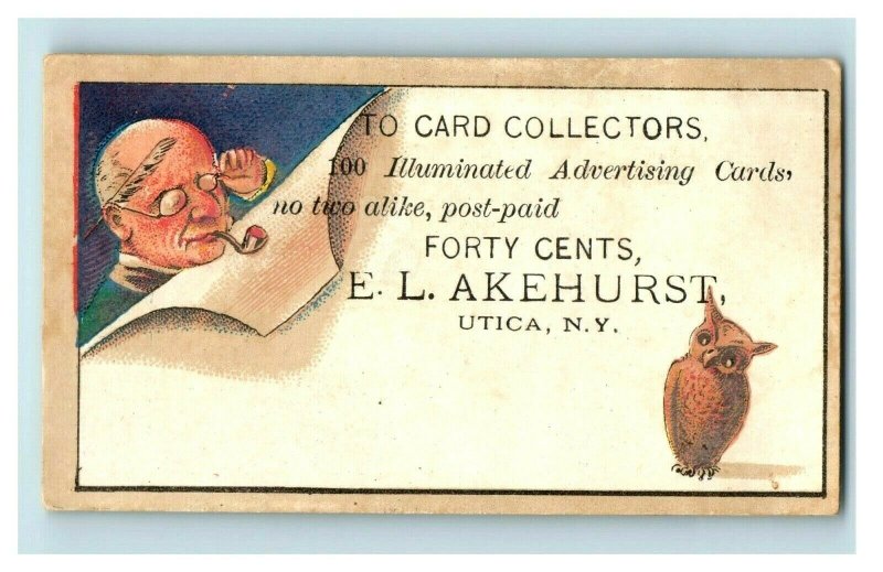 1870s-80s Illuminated Advertising Cards E.L Akehurst Owl Bird Dog Lot Of 6 P201 