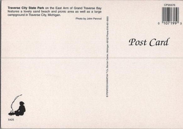 Traverse City MI State Park Sandy Beach Picnic Continental Chrome Postcard