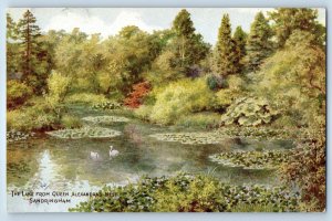 Sandringham Norfolk England Postcard Lake from Queen Alexandras Nest c1910