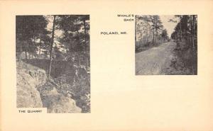 Poland Maine Scenic Multiview Antique Postcard K84146