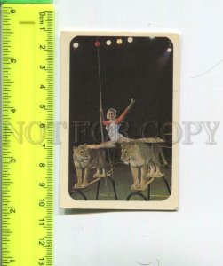 474463 USSR 1974 year circus lion trainer Original old Pocket CALENDAR