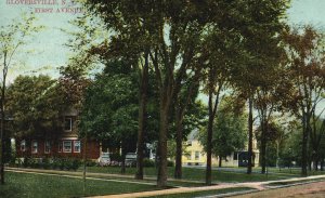 Vintage Postcard First Avenue Along Pine Trees Landmark Gloversville New York NY