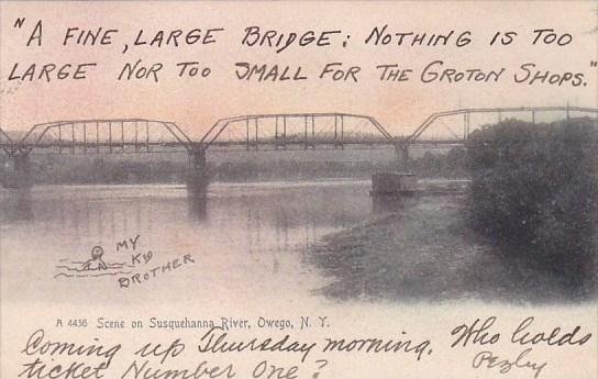 New York Owego Scene On Susquehanna River 1905