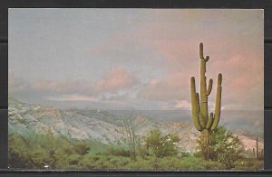 Arizona - Snow On Catalina Mountains - [AZ-119]