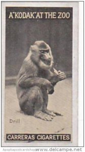 Carreras Cigarette Card Kodak At Zoo 1st Series No 42 Drill