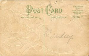 PATRIOTIC c1910 Embossed Postcard George Washington Cherry Tree