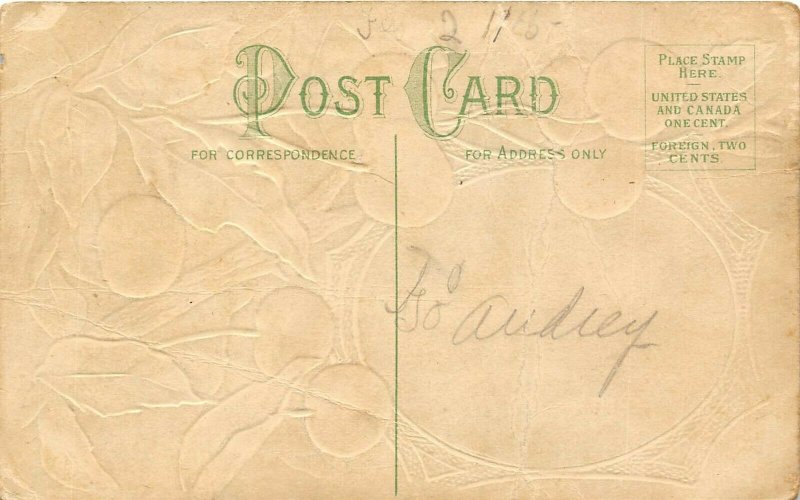 PATRIOTIC c1910 Embossed Postcard George Washington Cherry Tree