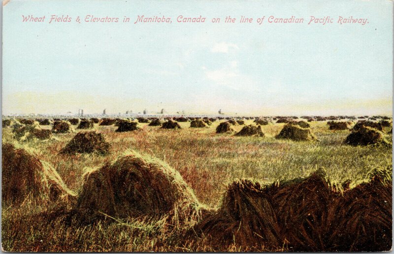 Wheat Fields & Elevators in Manitoba on CPR Unused Stedman Bros Postcard E78