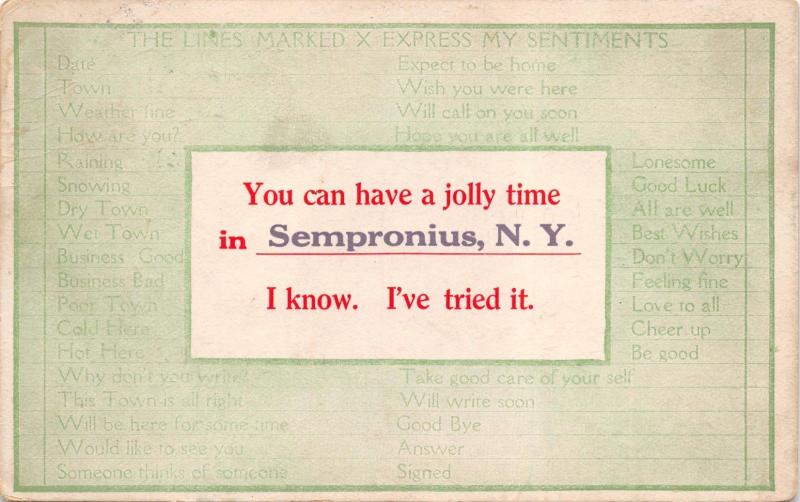 SEMPRONIUS-CAYUGA COUNTY NEW YORK~YOU CAN HAVE A JOLLY TIME... POSTCARD 1911 PMK