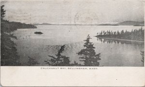 Chuckanut Bay Bellingham WA Washington c1911 Selby Litho Postcard H24