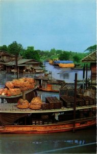 CPM AK THAILAND Boat for carrying fowl and fruits to market in Thailand(344747)