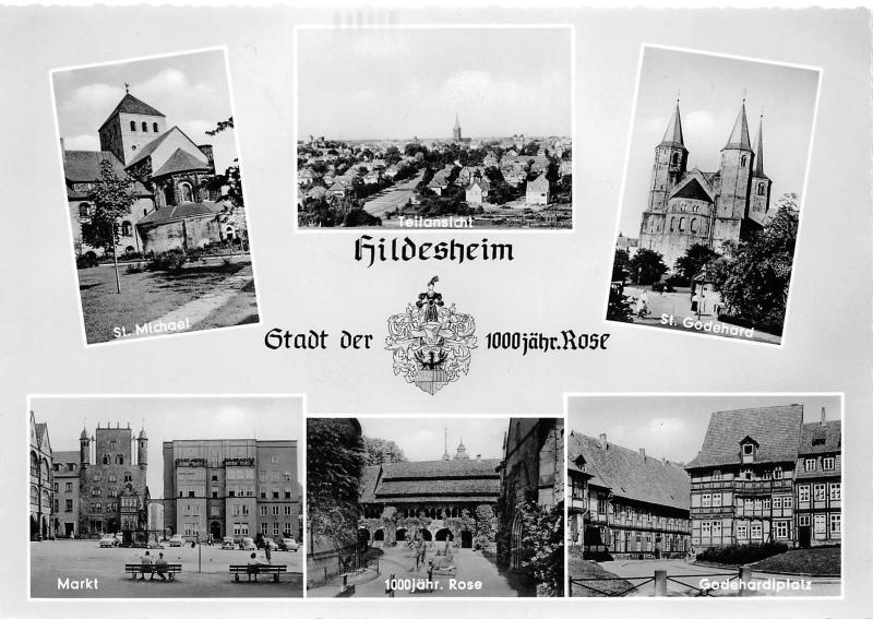 BG21823 hildesheim stadt der rose  germany CPSM 14.5x9cm