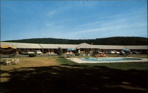 Oswego New York NY Motel Vintage Postcard