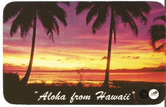 Vintage Postcard,Tropical Sunset Hawaiian Views Aloha from Hawaii Rounded Edges