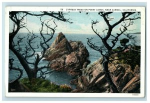 1910 Point Lobos Camel, CA Postcard P181 