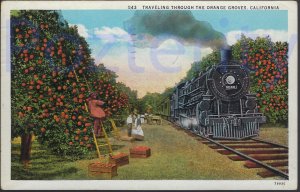 TRAVELING THROUGH THE ORANGE GROVES 1935 CALIFORNIA