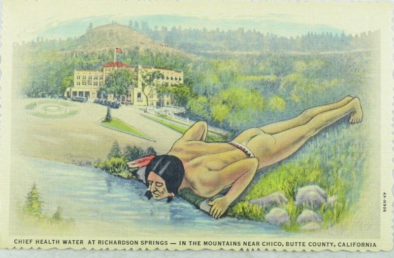 Chief Health Water, Richardson Springs, Calif. Vintage Postcard P99