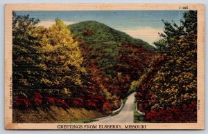 Elsberry Missouri~Country Road Through Trees~Autumn Leaves~1952 Linen Postcard