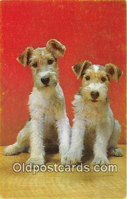 Wire Fox Terrier Dog Unused 