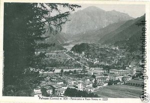 03693 VINTAGE POSTCARD: UDINE - PALUZZA-