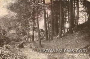 The Arboretum Pines - Jamaica Plain, Massachusetts MA