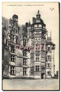 Old Postcard Meillant Cher Chateau la Tour du Lion