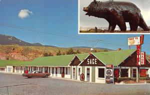 Dubois Wyoming Sage Motel Multiview Vintage Postcard K82309