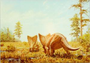 Ceratopsians Tyrrell Museum Drumheller Alberta AB Dinosaur Krb Art Postcard D56